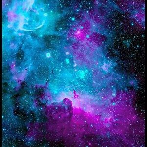 Meet your Posher, Bryan